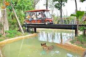 TIGER PARK PATTAYA (FOREST SAFARI (ELECTRIC CAR 15 MINUTES)+PRIVATE PICK UP AND DROP PATTAYA HOTEL)